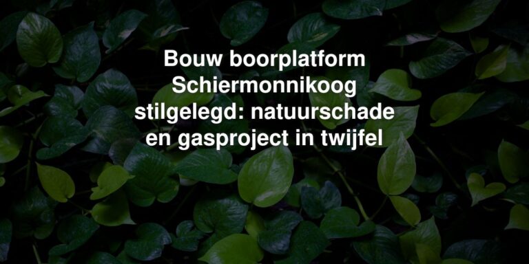 Bouw boorplatform Schiermonnikoog stilgelegd: natuurschade en gasproject in twijfel